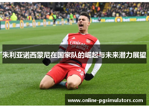 朱利亚诺西蒙尼在国家队的崛起与未来潜力展望