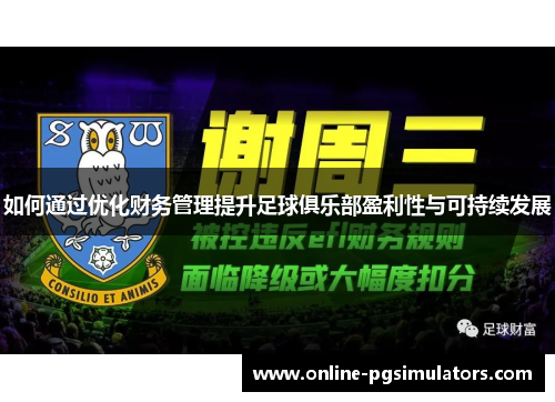 如何通过优化财务管理提升足球俱乐部盈利性与可持续发展