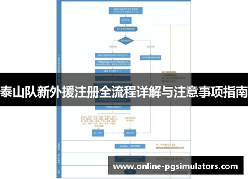 泰山队新外援注册全流程详解与注意事项指南