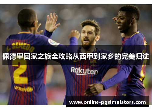 佩德里回家之旅全攻略从西甲到家乡的完美归途