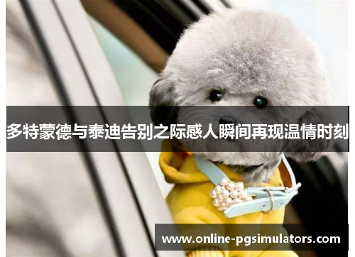 多特蒙德与泰迪告别之际感人瞬间再现温情时刻