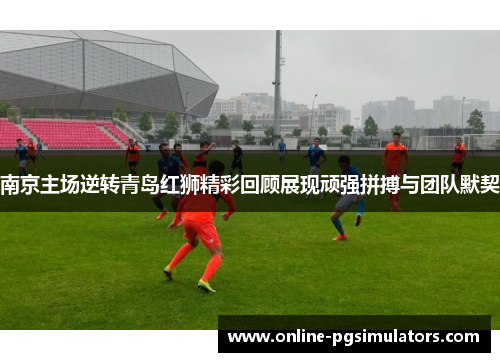 南京主场逆转青岛红狮精彩回顾展现顽强拼搏与团队默契