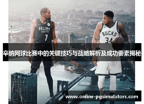 辛纳网球比赛中的关键技巧与战略解析及成功要素揭秘