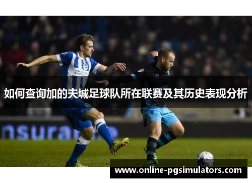 如何查询加的夫城足球队所在联赛及其历史表现分析